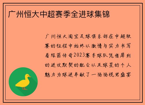 广州恒大中超赛季全进球集锦
