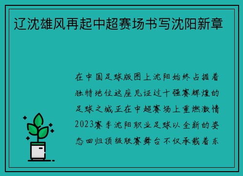 辽沈雄风再起中超赛场书写沈阳新章